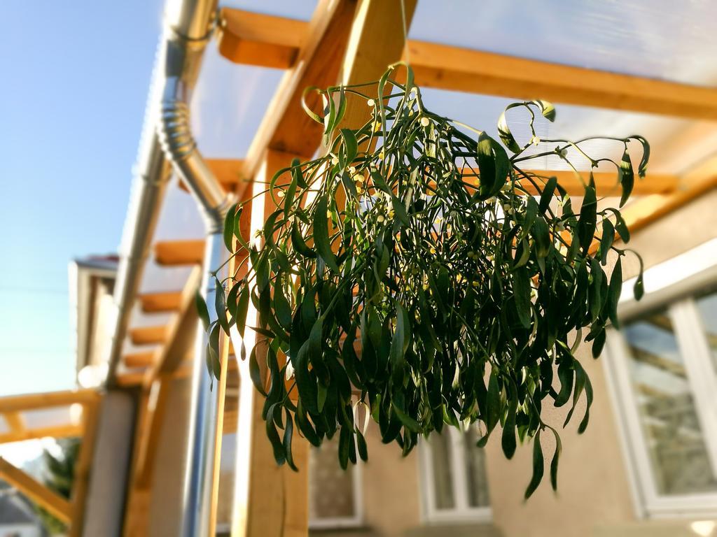 Fagyoengy Apartamento Sárvár Exterior foto